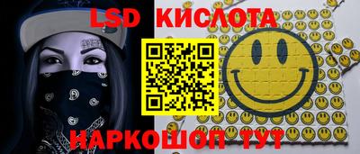 прущие грибы Новодвинск