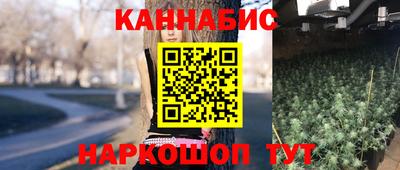 шишки Новокубанск