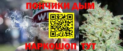 шишки Новокубанск