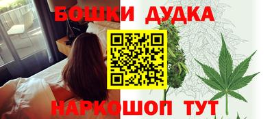 шишки Новокубанск