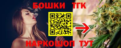 шишки Новокубанск
