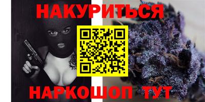 шишки Новокубанск